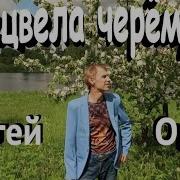 Сергей Орлов Черёмуха