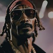 Snoop Dogg My Time Ft Jay Z Dmx 2Pac Music Video 2024 Pacvibe