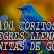 Coros Viejitos Pero Bonitos Coros Pentecostales Mas De 100 Coros Avivamiento Pentecostal Alabanzas Cristianas