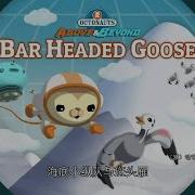 Octonauts Above And Beyond Season 5