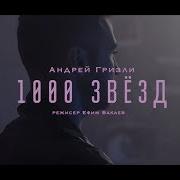 1000 Звёзд Гризли