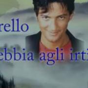 La Nebbia Agli Irti Colli Fiorello 1993 By Prince Of Roses