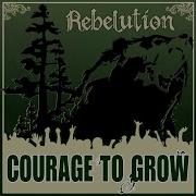 Rebelution Heart Like A Lion