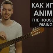 The Animals House Of The Rising Sun На Гитаре