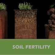 Soil Fertility