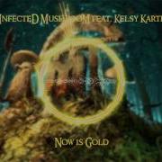 Infected Mushroom Now Is Gold Feat Kelsy Karter