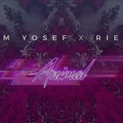 Jim Yosef Riell Animal