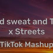 Blood Sweat And Tears Tik Tok Remix