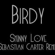 Birdy Skinny Love Sebastian Carter Remix