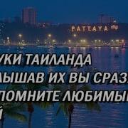 Паттая Пение Птиц