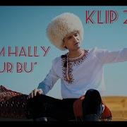 Rustem Hally