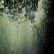 Rain Melody