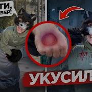 Бешенство Декстера