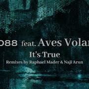 It S True Feat Aves Volare 2088