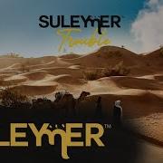 Suleymer Trouble