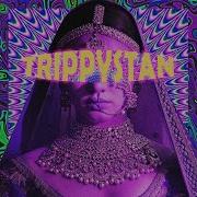 Zoh Trippystan