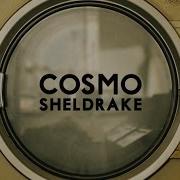 Cosmo Sheldrake The Moss