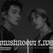 Mushroom Live