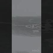 Закружила Снегом Белая Зима