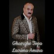 Gheorghe Topa Lacrima Amara