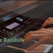 Rainbow Niklas Sivelov Qi Jie Wang Yifan