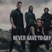 Never Have To Say Goodbye Papa Roach