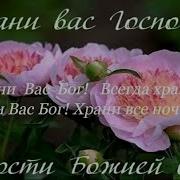 Поет Батюшка Душои Храни Вас Господь