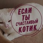 Если Ты Щисливый Котик Скожи Мяу