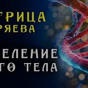 Антивирусная Матрица Горяева