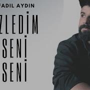 Ayhan Aydın Nazilli Özeldim