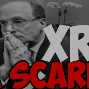 Ripple Xrp Urgent Warning Blackrock Confirmed Us We Told You So Extravod