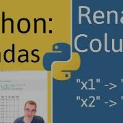 How To Rename Columns In Pandas Python Datadaft