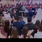 Dawata Ezdia Germania Hozan Xerib 2017