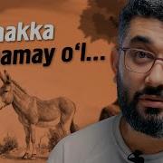 Eshak O G Li Eshak Yoldagiodam Abdukarimmirzayev Mp3
