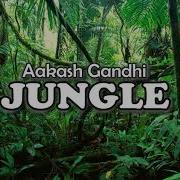 Jungle Aakash Gandhi