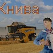 Жнива Микола Кива