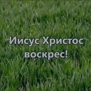 Иисус Христос Воскрес Минус