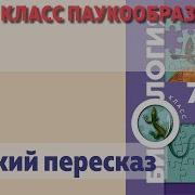 Биология 7 Класс Константинов 24 Параграф