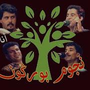نجوم بوركون انا مليت