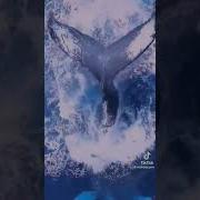 Она Любит Кофе По Утрам