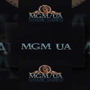 Mgm Ua Scan