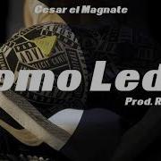 Como Le Da Cesar El Magnate