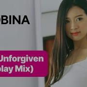 The Unforgiven Airplay Mix Bobina