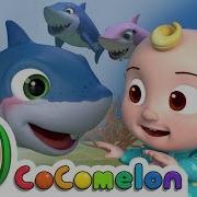 Baby Shark Cocomelon Nursery Rhymes Kids Songs Cocomelon Nursery Rhymes