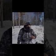 Если Это Тебя Утешит Меня Стыдится Вся Моя Семья