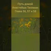 Книга Путь Домой Анастейша Тиллман Читать