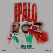 Ray Dee Ft Y Celeb Nacci Lp Ipalo Official Audio Zedmusic Zedmusic