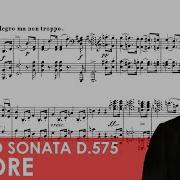 Filippo Faes Piano Sonata No 9 In B Major Op 147 D 575 Ii Andante