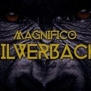 Magnifico Silverback