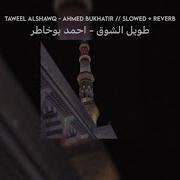 Taweel Al Shawq Slowed